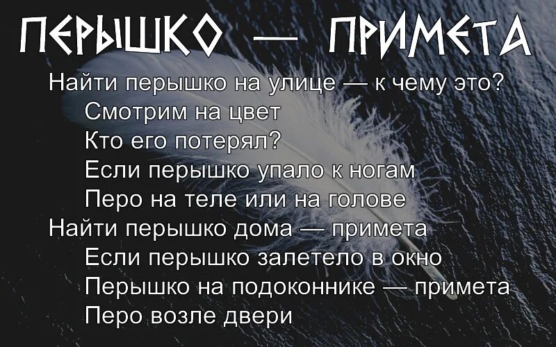 Примета найти на улице. Перья приметы. Найти перо примета. Залетело перышко. Перышко примета.