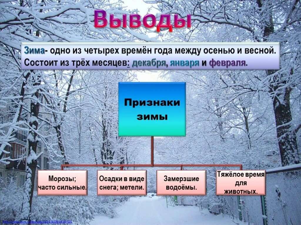 Признаки зимы. Зима изменения в природе. Признаки зимой. Презентация зима.