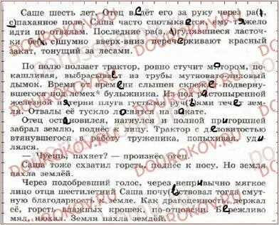 Русский язык 6 класс 264