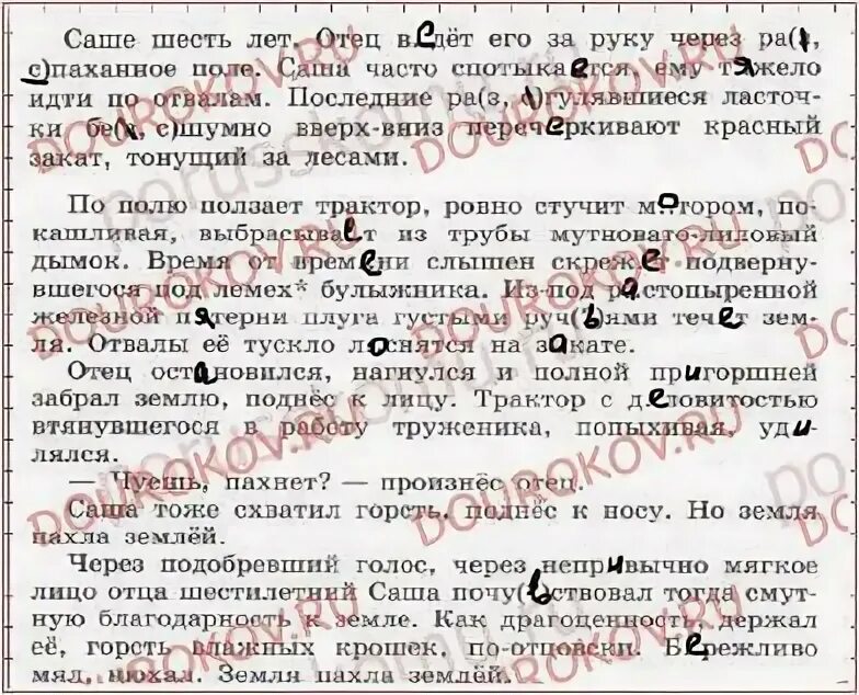 Саше шесть лет отец ведет. Диктант саше 6 лет. Буква е в суффиксе Ен существительных на мя 6 класс. Саше шесть лет отец. Русский язык 6 класс 264.