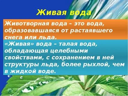 Живая польза