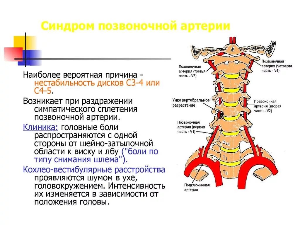 Сегмент v1 v2 позвоночной артерии. V2 сегменты позвоночных артерий норма. Сегмент v1 позвоночной артерии. Шейный отдел позвонка с5 схема.