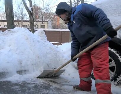 Какого работать дворником