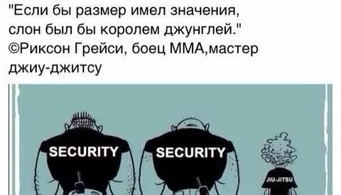Не до жиру быть бы живу значение