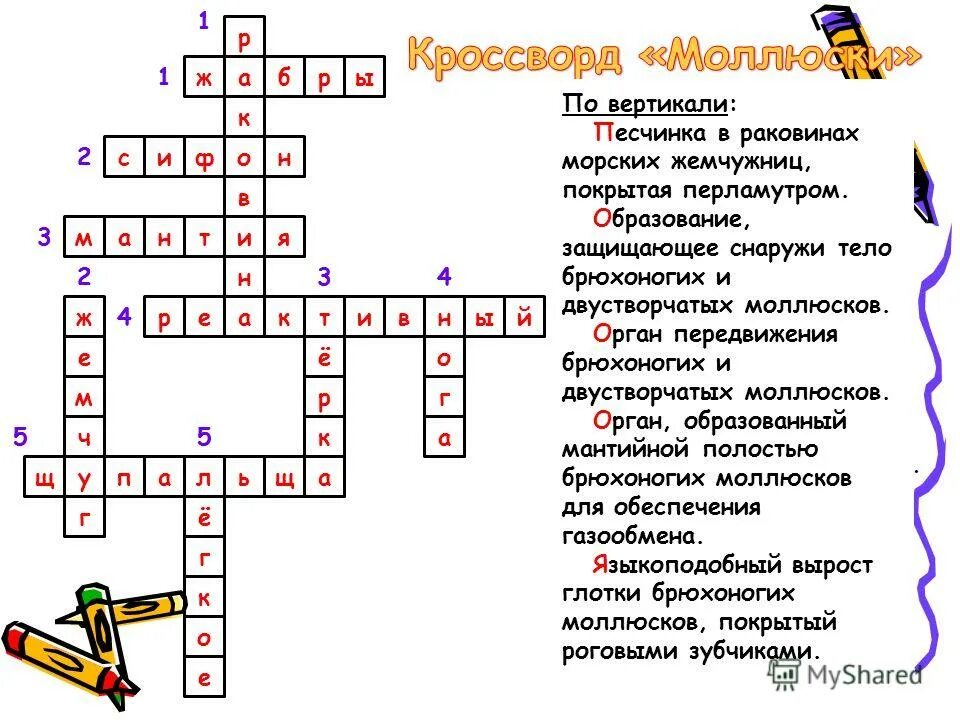 Кроссворд моллюски. Кроссворд на тему моллюски. Кроссворд по теме моллюски 7 класс с ответами. Кроссворд по биологии моллюски. Кроссворд беспозвоночных животных