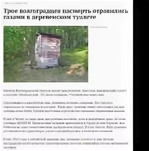 Сельский туалет текст