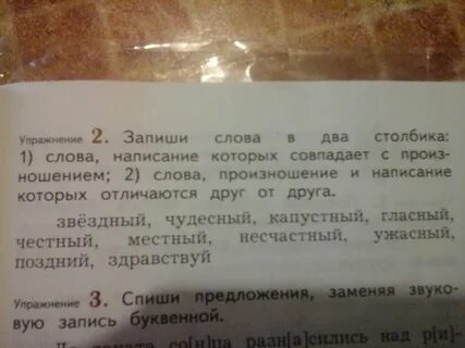 Товарищ корень