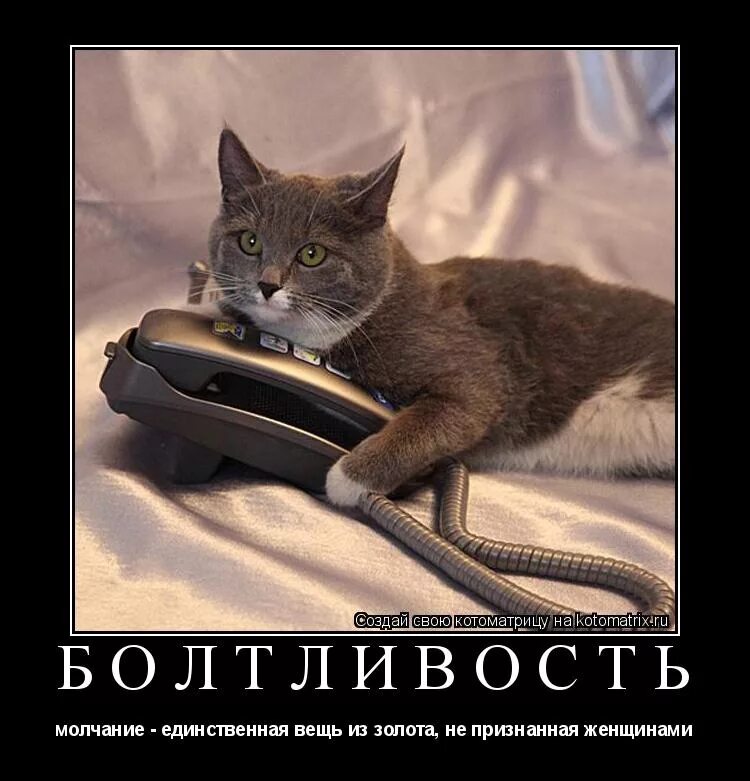 Полдня жду. Звук мяу. Жду отпуск. Открытка хорошего отдыха. Кот подрал диван.