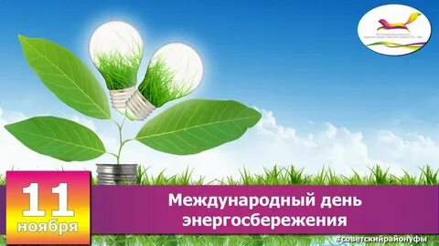 День экономия