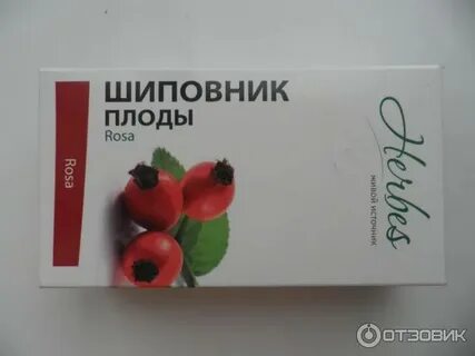 Шиповник при беременности