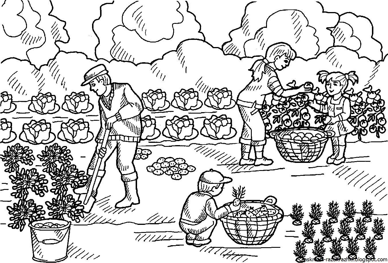 Огород раскраска для детей. Раскраска. Весенние работы рисунок. Раскраска субботник. Работы в саду рисунок.