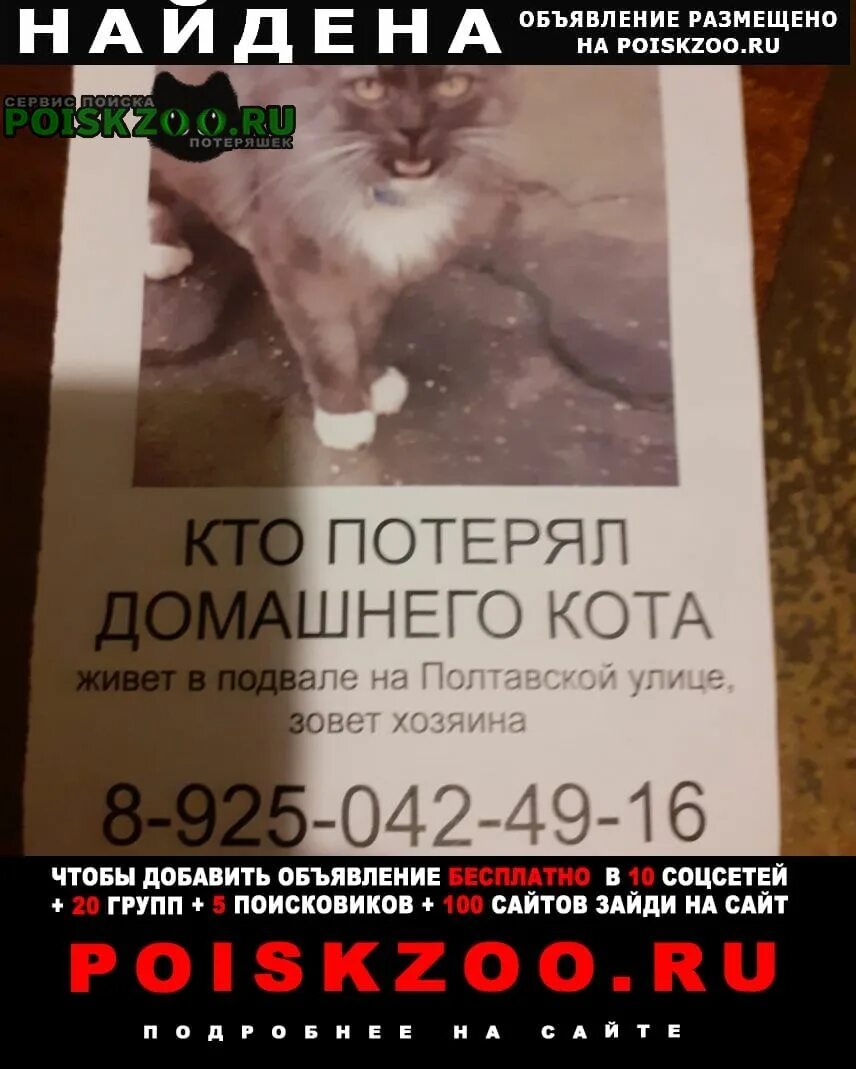 Как назвал кот своего хозяина