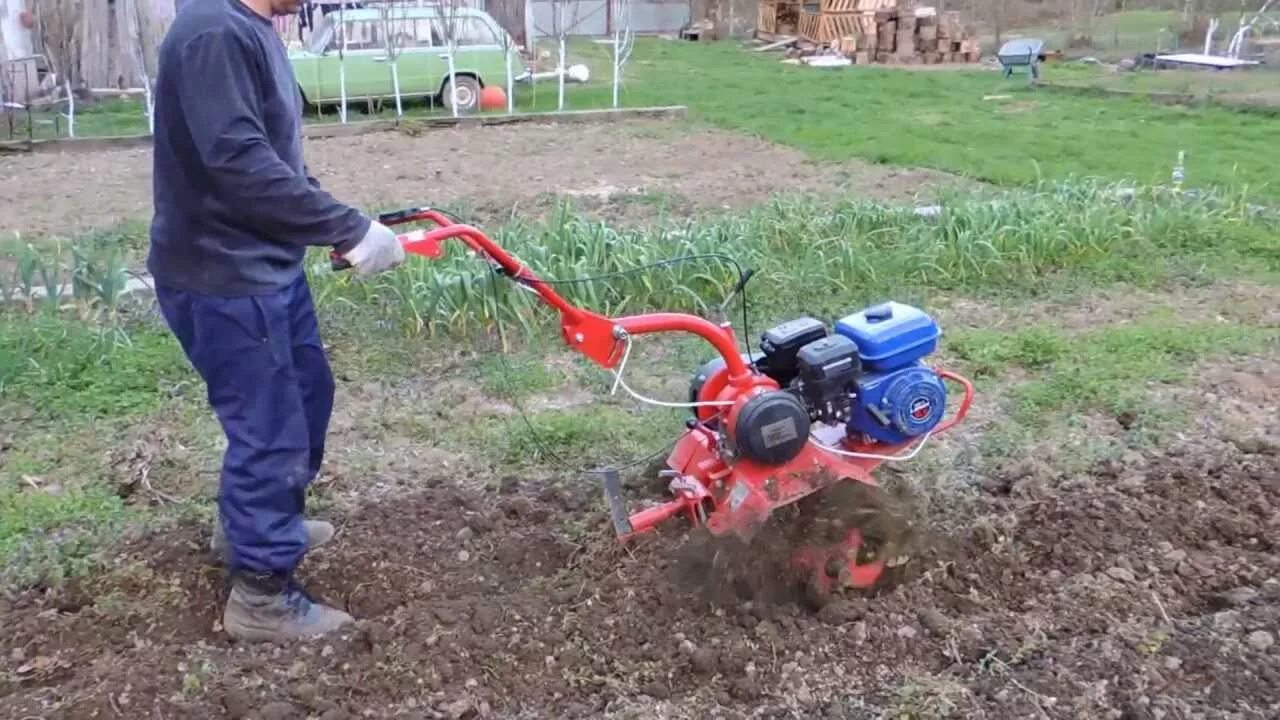 Вспахать участок мотоблоком цена. Мотоблок агат вспашка земли. Мотоблок агат вспашка плугом. Мотоблок агат пахота. Мотоблок салют 5-р-м1.