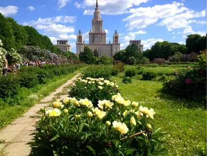 Сады москвы каталог