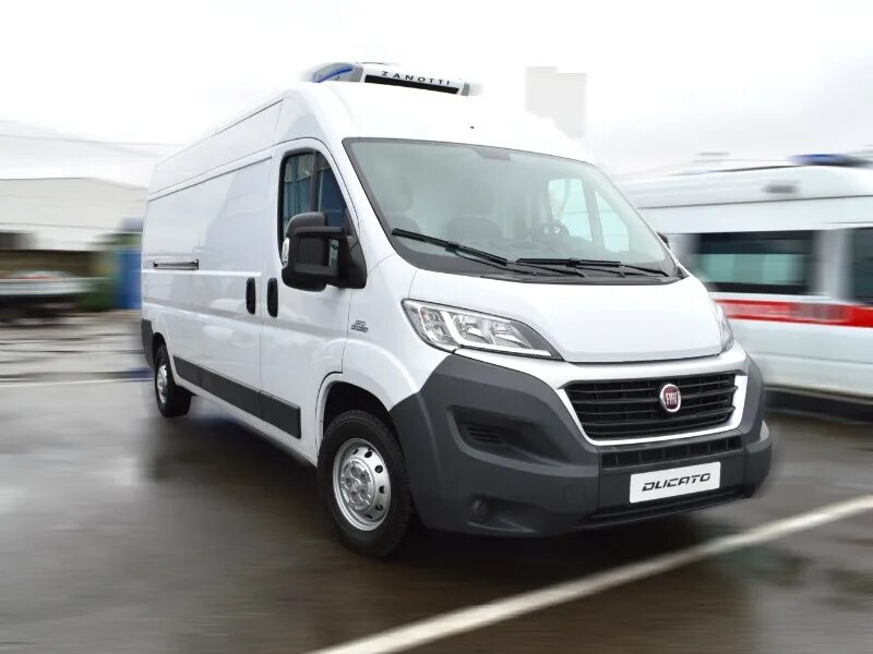 Fiat Ducato ЦМФ. Форд Транзит цельнометаллический фургон. Ford Transit цельнометаллический фургон рефрижератор. Форд Транзит и Фиат Дукато.