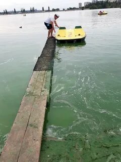 Чем знаменито воронежское водохранилище