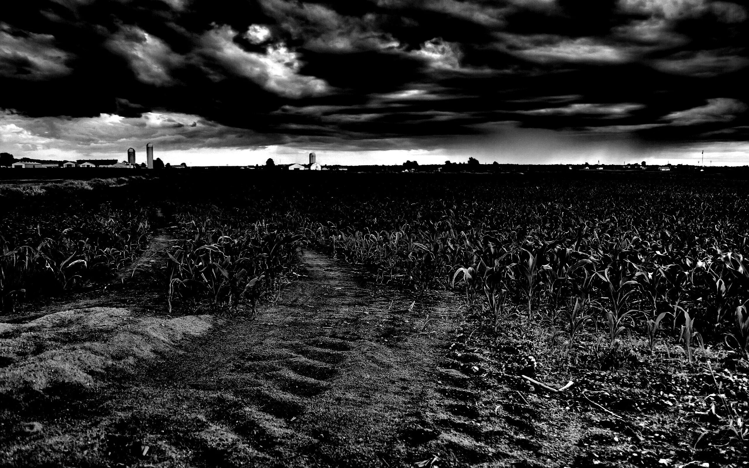 Черное поле арт. Поле черно белое. Темное поле. Черное поле знающего. Вертикальная съемка черные поля.