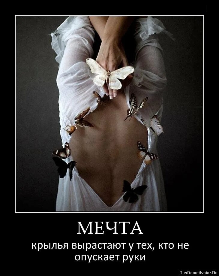 Дай человеку крылья. Доверие. Цитаты про крылья. Не обязательно иметь крылья чтобы летать. Цитаты про крылья за спиной.