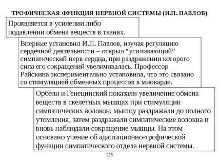 Функции центральной нервной системы физиология