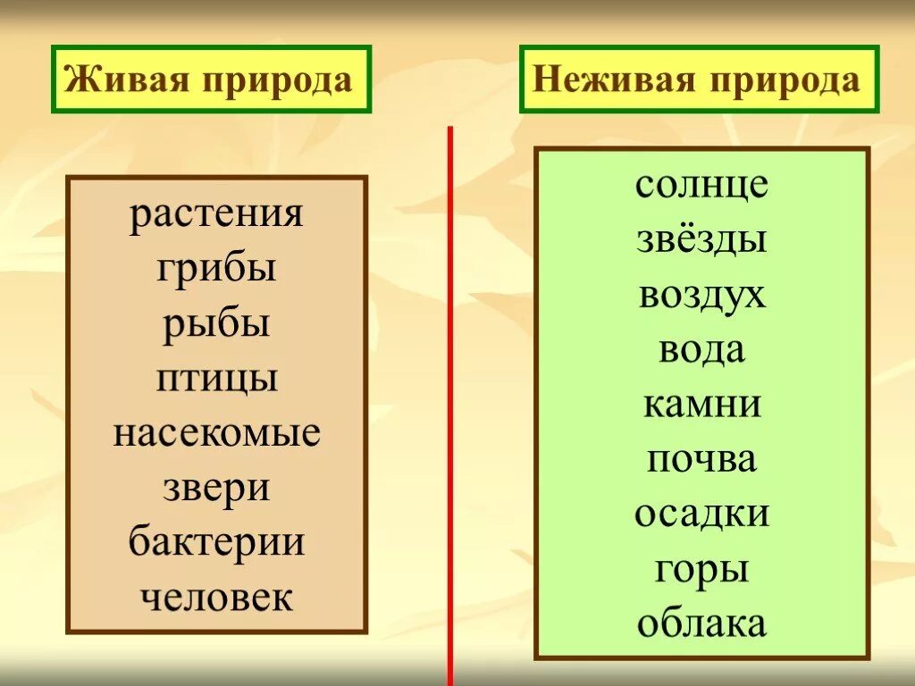 Привести пример живой и неживой природы