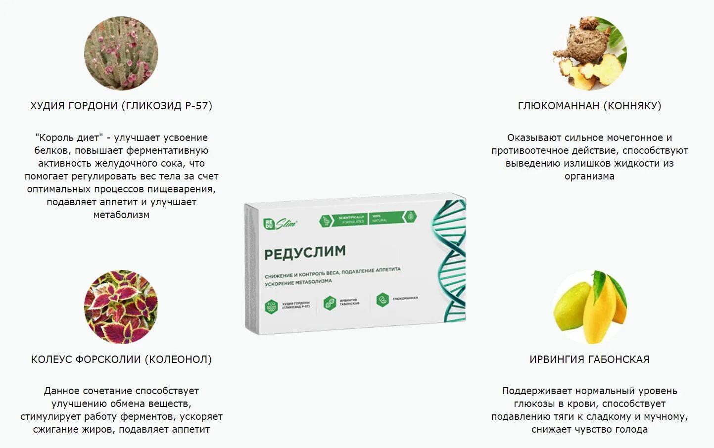 Редуслим состав. Эффект от таблетки Редуслим. Подавление аппетита. Редуслим состав препарата.