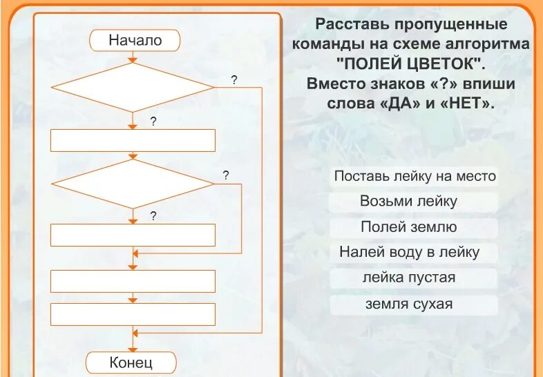 Блок схема алгоритма 3 класс. Алгоритм полей цветок. расставь команды на схеме алгоритма помой персики. алгоритм пустой. расставить команды на схеме алгоритма разложи кольцльца.