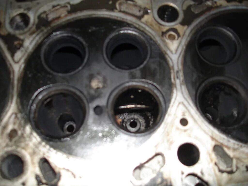 4 дизель гнет клапана грм?. гнет ли клапана рено 25 2. гнет ли клапана на 405 двигателе. 4 гнет ли клапана. шкода фабия 1.