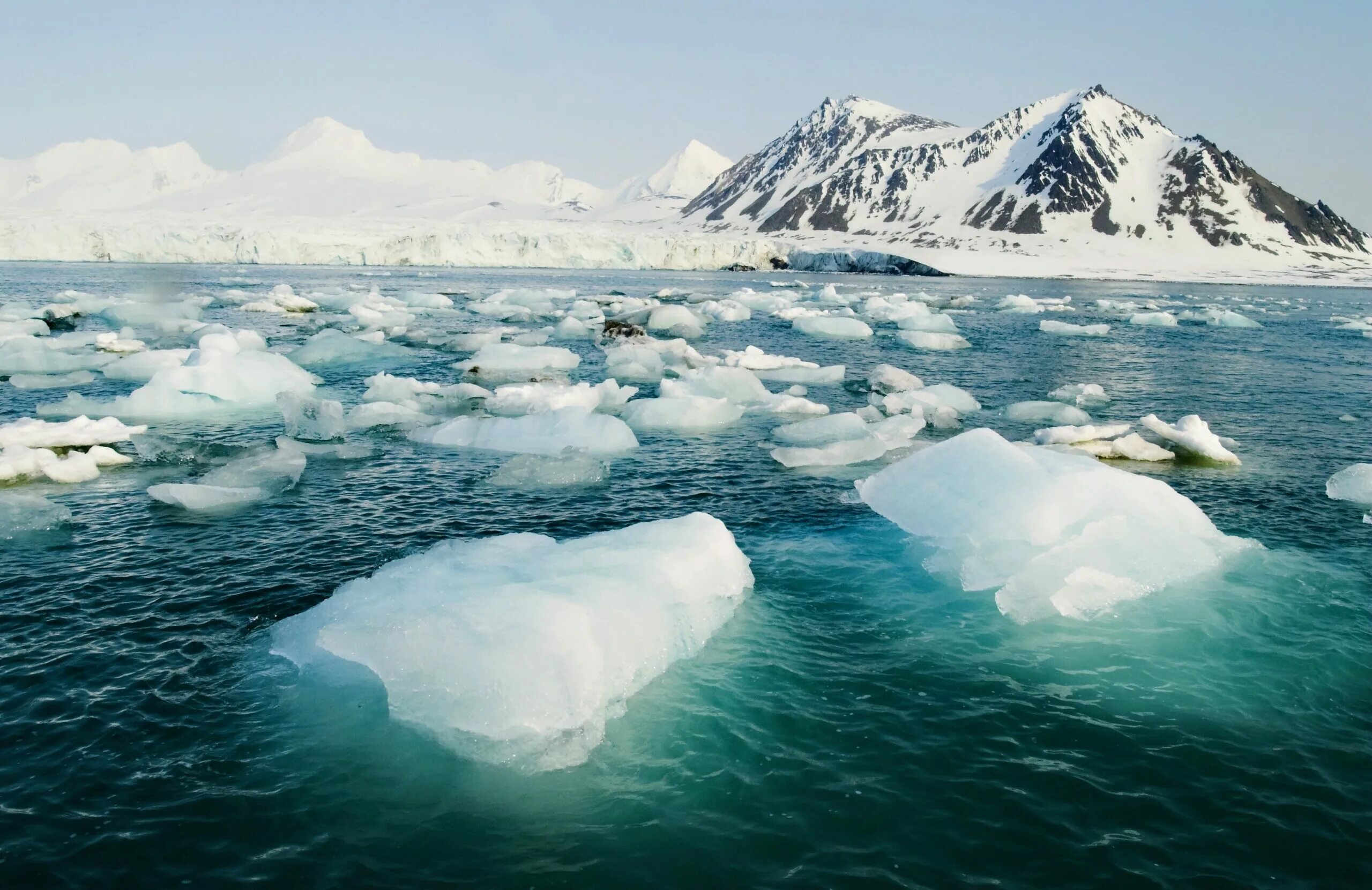 Как выглядит айс. Арктика Северный Ледовитый океан. Арктика Северо Ледовитого океана. Северный полюс Северный Ледовитый океан. Северный Ледовитый океан и Антарктида.