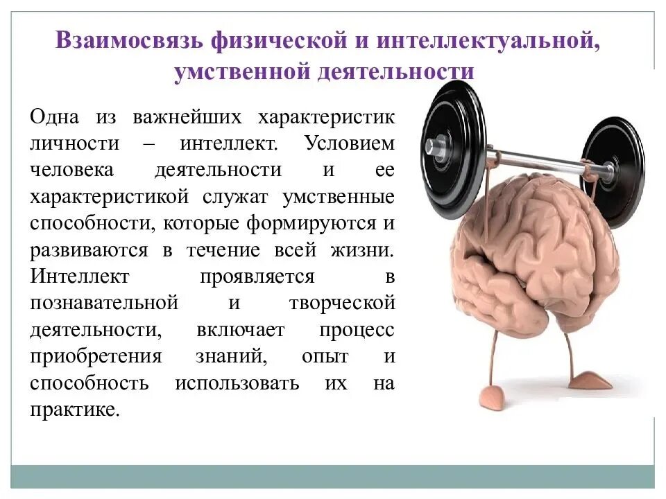 Оптимизация физического состояния. Физическая и умственная деятельность человека. Взаимосвязь физической и умственной деятельности человека. Умственная и физическая нагрузка. Физические и умственные упражнения.