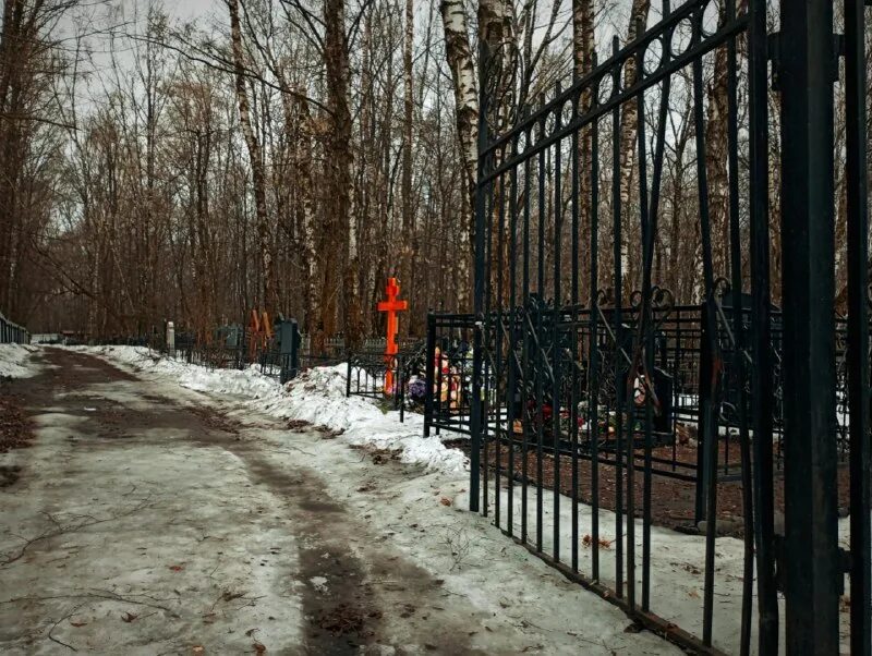 кладбище горит. деревья на кладбище. иосиф бродский стихотворение пилигримы.