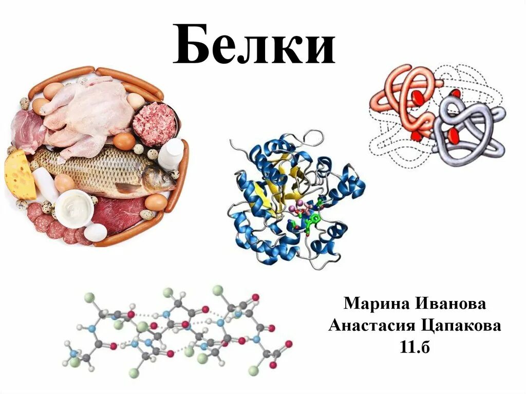 Белки 11 класс биология. Строение белка. Строение белков. Белки биология. Белки строение белков.