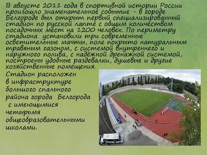 2011 год год спорта