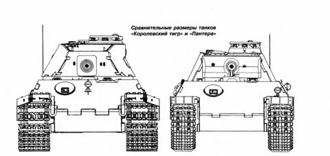 Пантера размеры