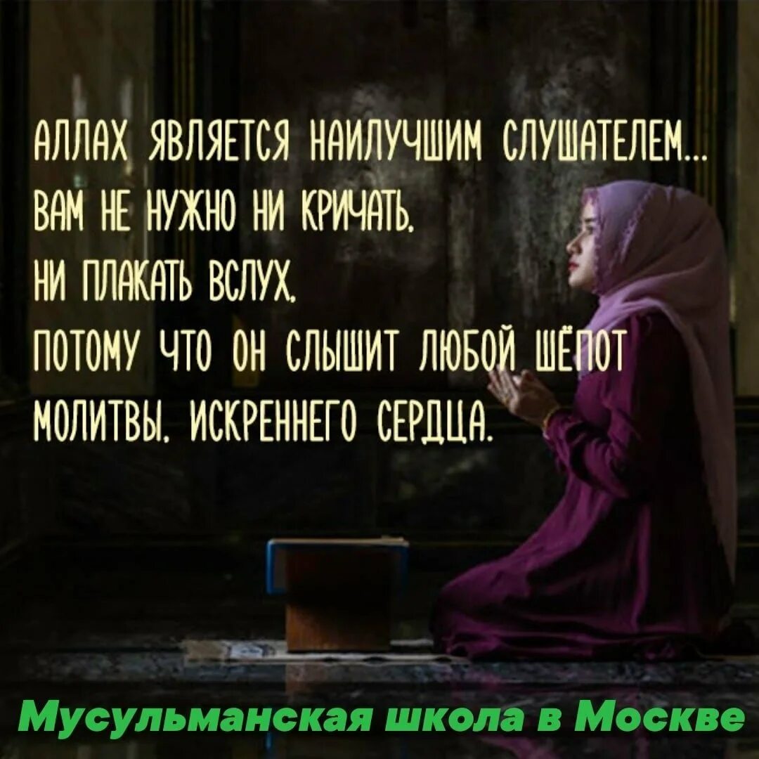 Мусульманский статус смыслом