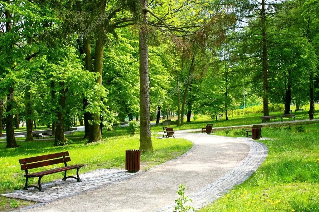 Park in. Липовая аллея Сокольники. Парк «городской лесопарк».. Парковые аллеи в Москве. Киев Берёзовая роща (парк, Киев) Шевченко.