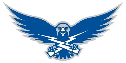Team falcons azure