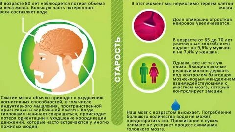 Возраст мозга