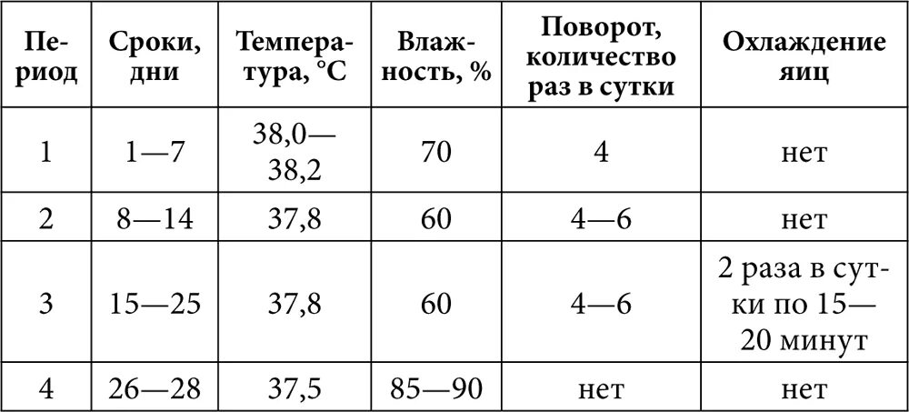 Температура внутри инкубатора. Инкубация утиных яиц в инкубаторе таблица температуры. Режим инкубации утиных яиц таблица. Температура в инкубаторе для уток яиц таблица. Температура инкубации утиных яиц в домашних условиях таблица.