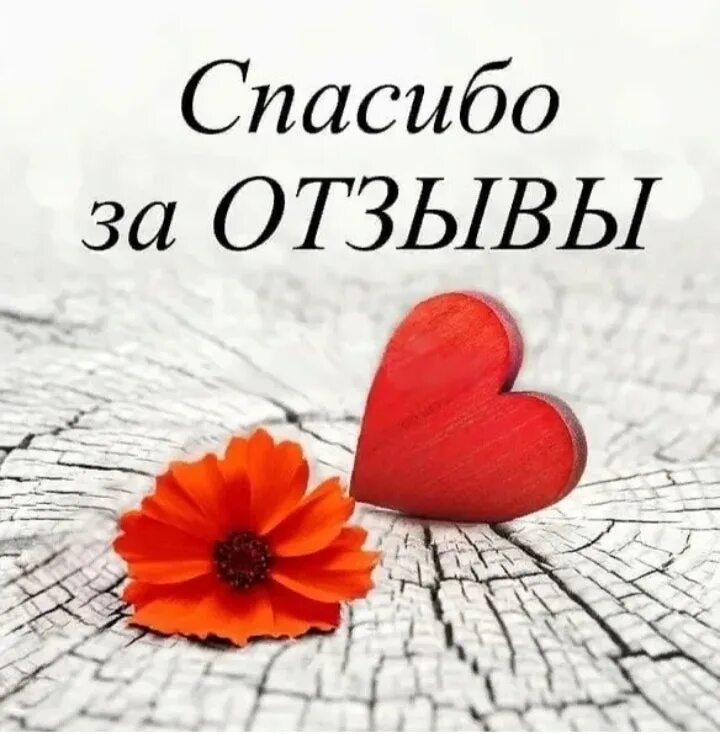 Рада что понравилось. Благодарим за отзывы мы рады. Благодарю за отзыв. Спасибо за отзыв картинка. Благодарим за отзывы мы рады.