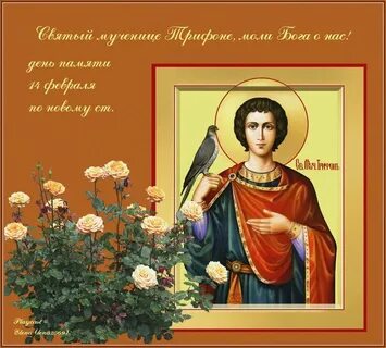 С днем святого трифона картинки