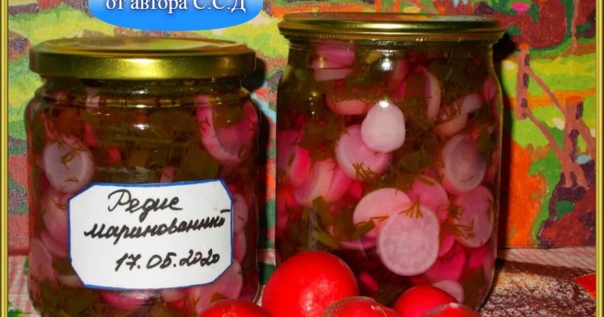 Редис маринованный на зиму. Редиска на зиму заготовки в банках. маринованная редиска на зиму в банках. маринованный редис. засоленная редиска.