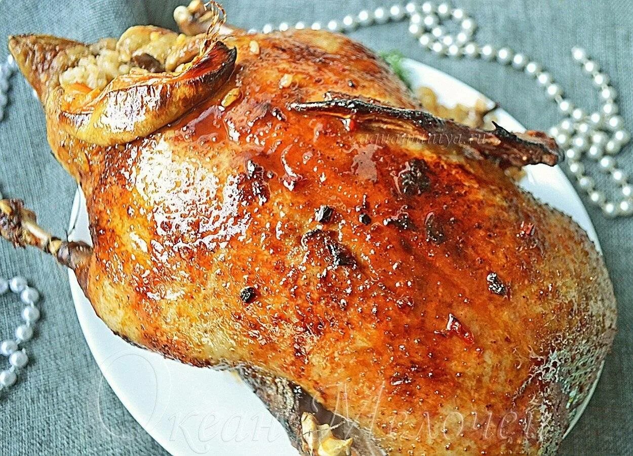 Гусь как приготовить вкусно целиком. Гусь в духовке. гусь в духовке целиком. гусь запеченный целиком. гусь в духовке целиком с хрустящей.