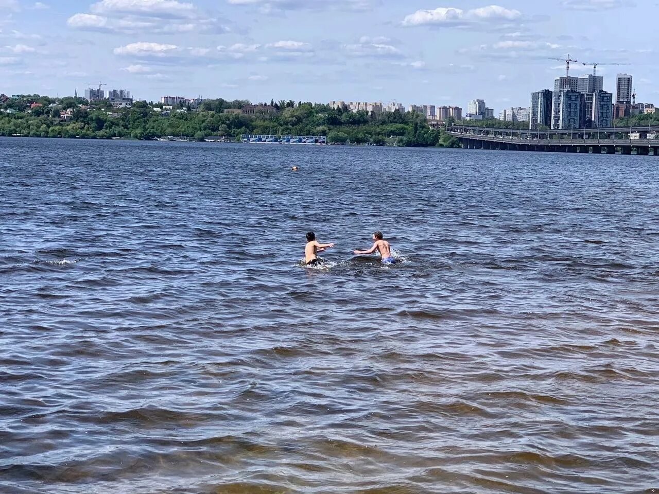 Дельфин ул остужева 2в фото. Парк Дельфин Воронеж пляж. Воронежское водохранилище пляжи. Парк на воде.