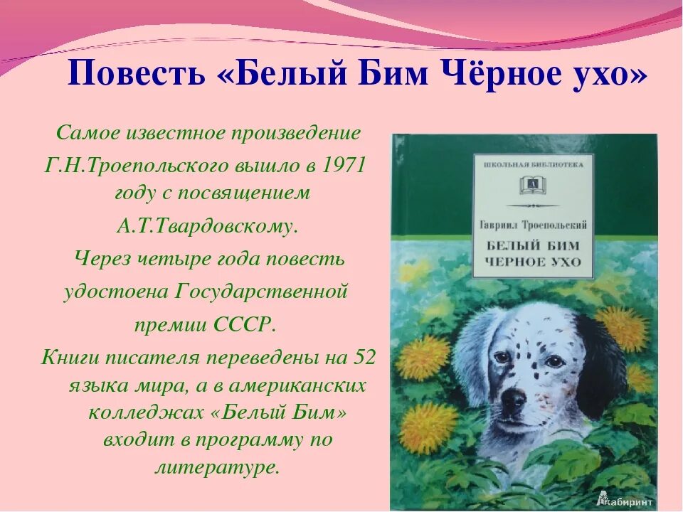 Рассказ белый бим краткое содержание. Троепольский белый бим черное ухо. троепольский белый бим черное ухо книга. г н троепольский белый бим черное ухо. троепольский белый бим черное ухо про автора.