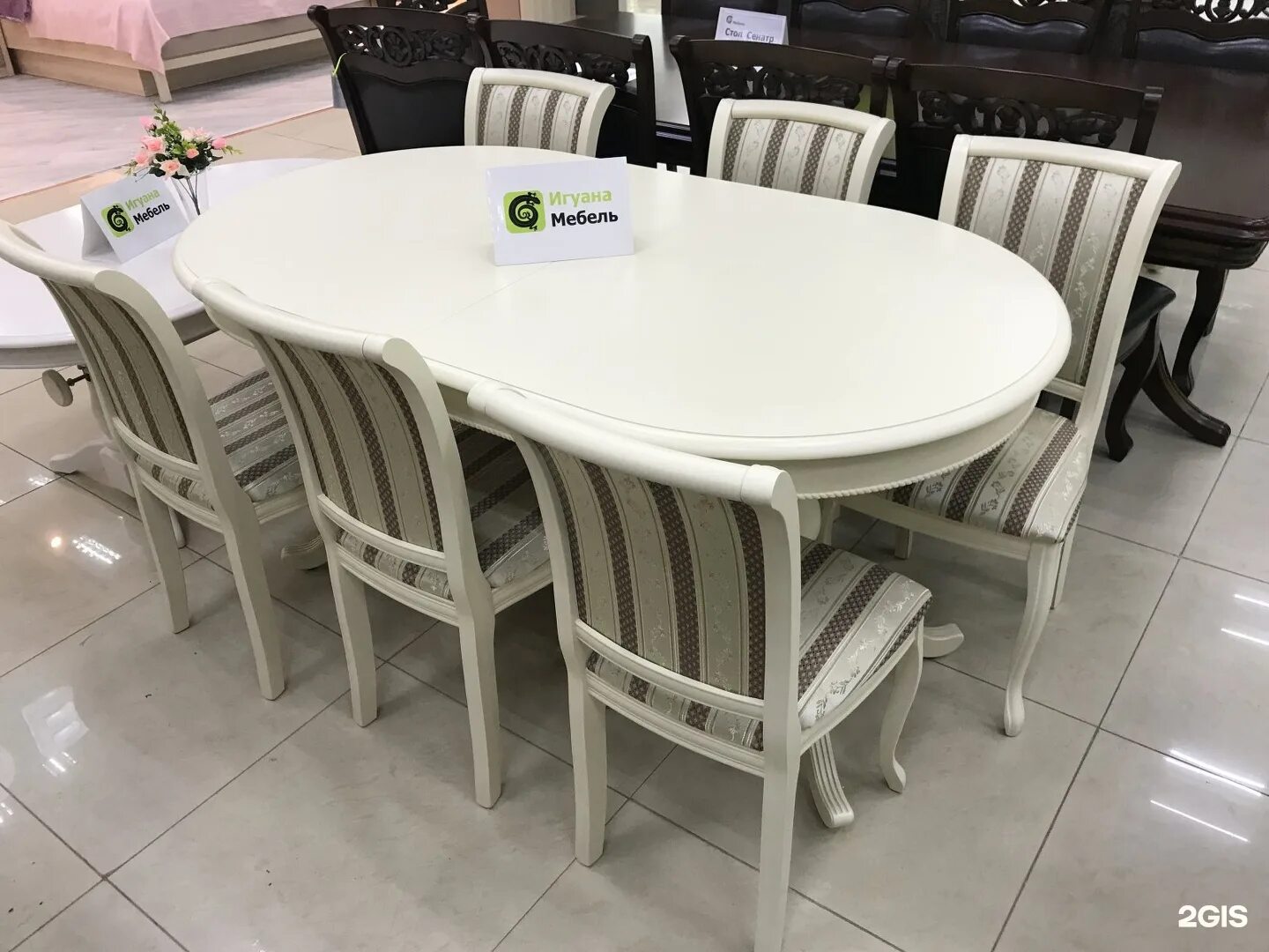 Игуана на столе. Арзан мебель уфа столы кухонные. Овальные столы для столовой. Игуана мебель. Столиком уфа.