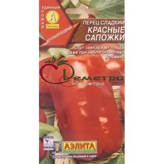 Красные сапожки слова