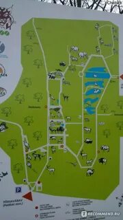 Можно ли по пушкинской карте в зоопарк