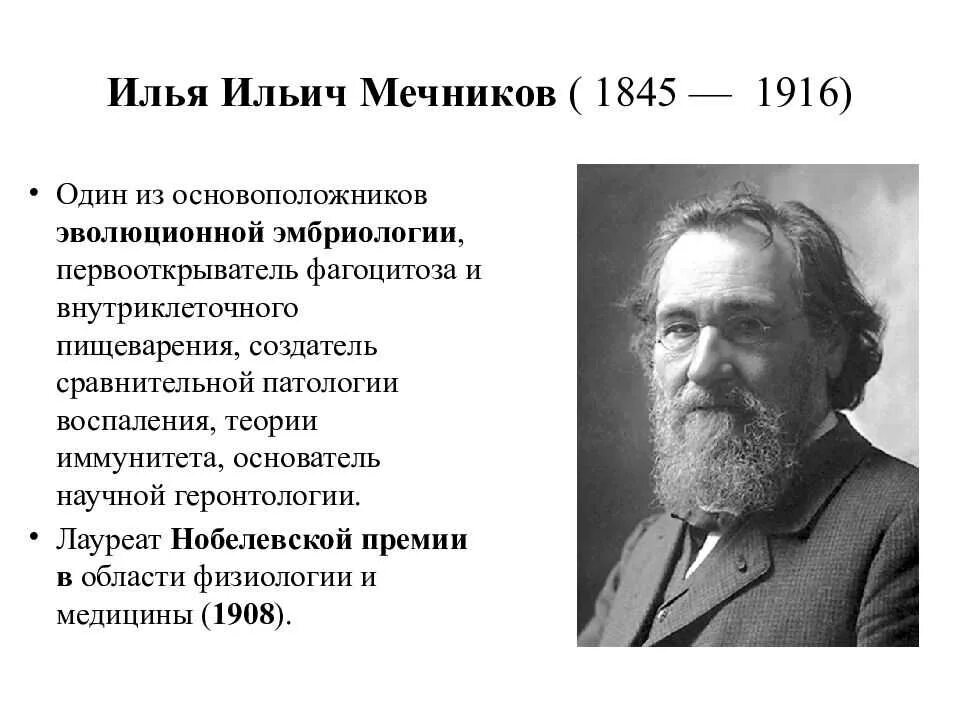 Мечников м. Илья ильич мечников (1845-1926). ильи ильича мечникова (1845—1916). илья мечников нобелевский лауреат. мечников илья ильич 1883.