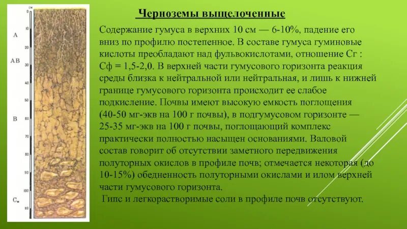 Черноземы выщелоченные почвенный профиль почвы. Черноземы оподзоленные почвы профиль. Черноземы содержимое гумуса. Тип почвы чернозем.