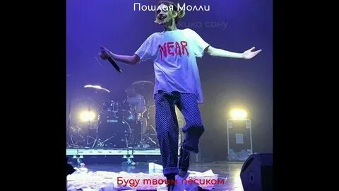 Буду твоим песиком молли